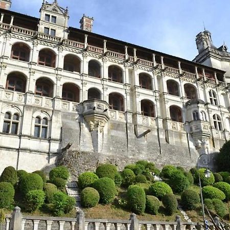 Appartement Coeur De Blois /Heart Of The City Exterior photo