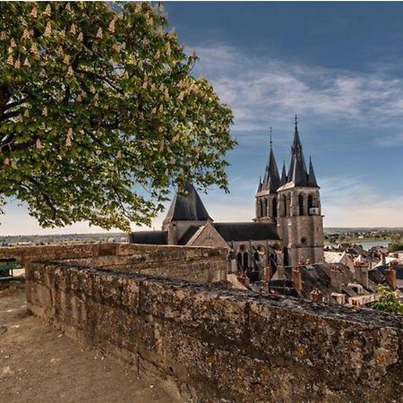 Appartement Coeur De Blois /Heart Of The City Exterior photo